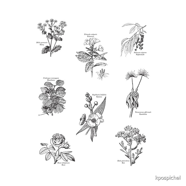 Flora Of The Hunger Games Tote Bag - Image 2